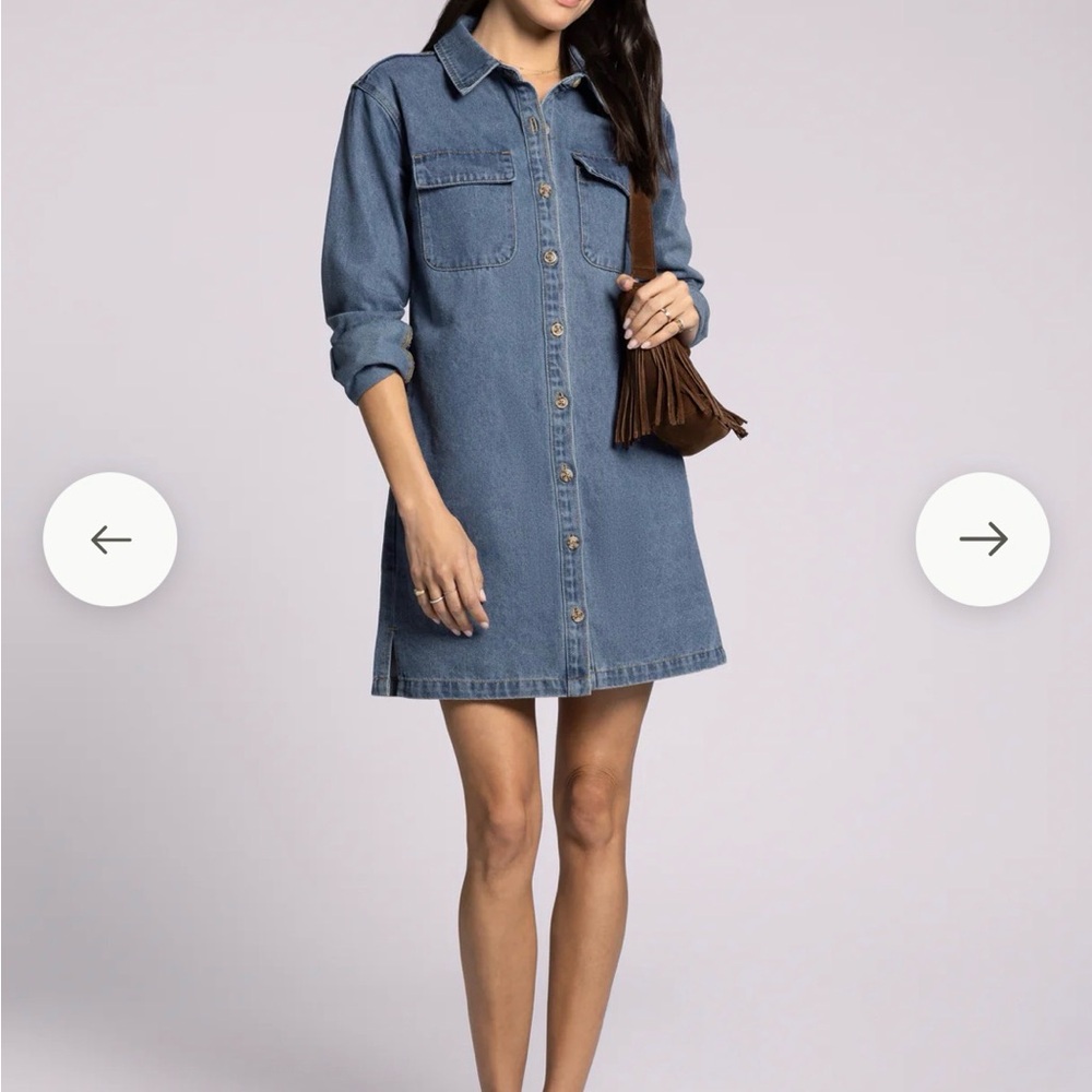 Thread & Supply Blue Denim Mini Dress